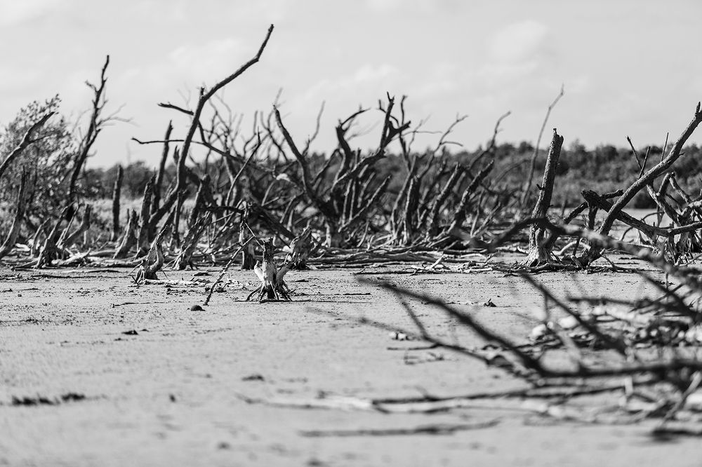 Photograph by Argel Ernesto González Alvarez