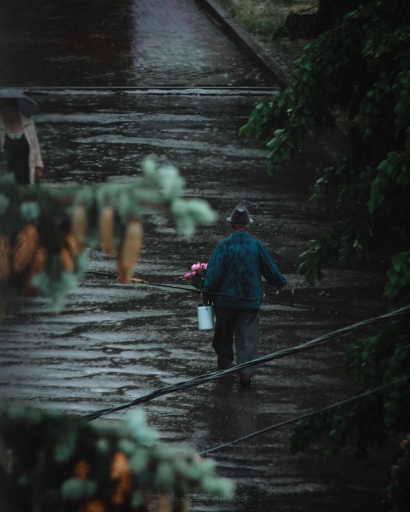 Photograph by Сергей Удовиченко