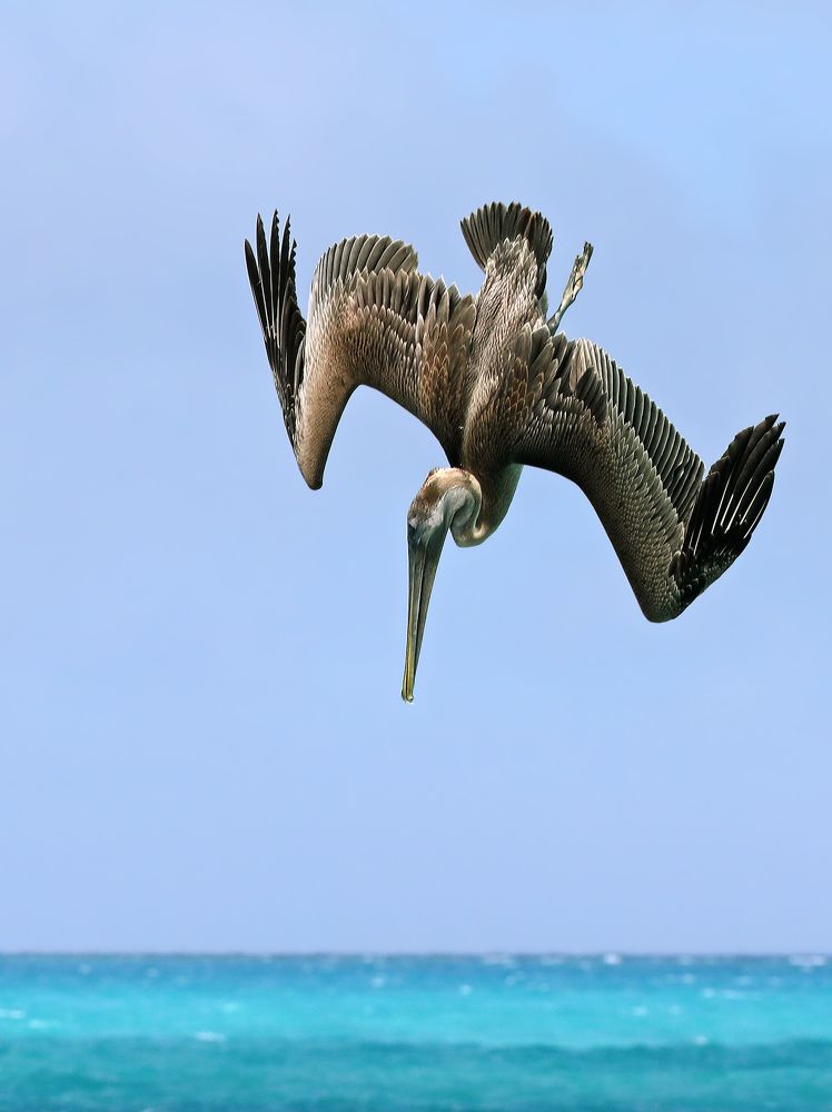 Photograph by Дмитрий Елисеев