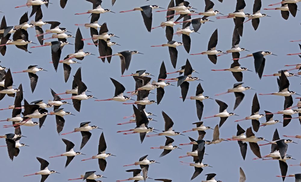 Photograph by Дмитрий Елисеев