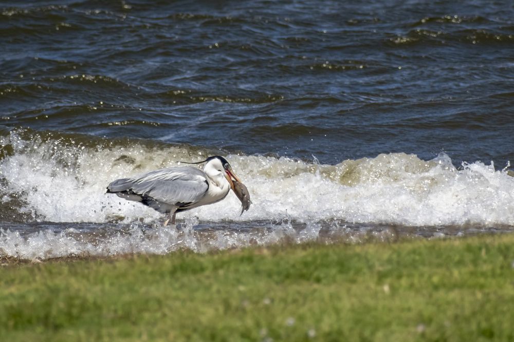 Photograph by Lucía Ruiz