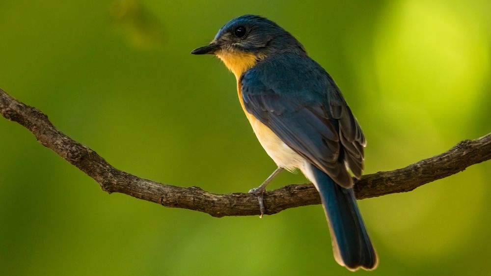 Photograph by SREENATH NARAYAN