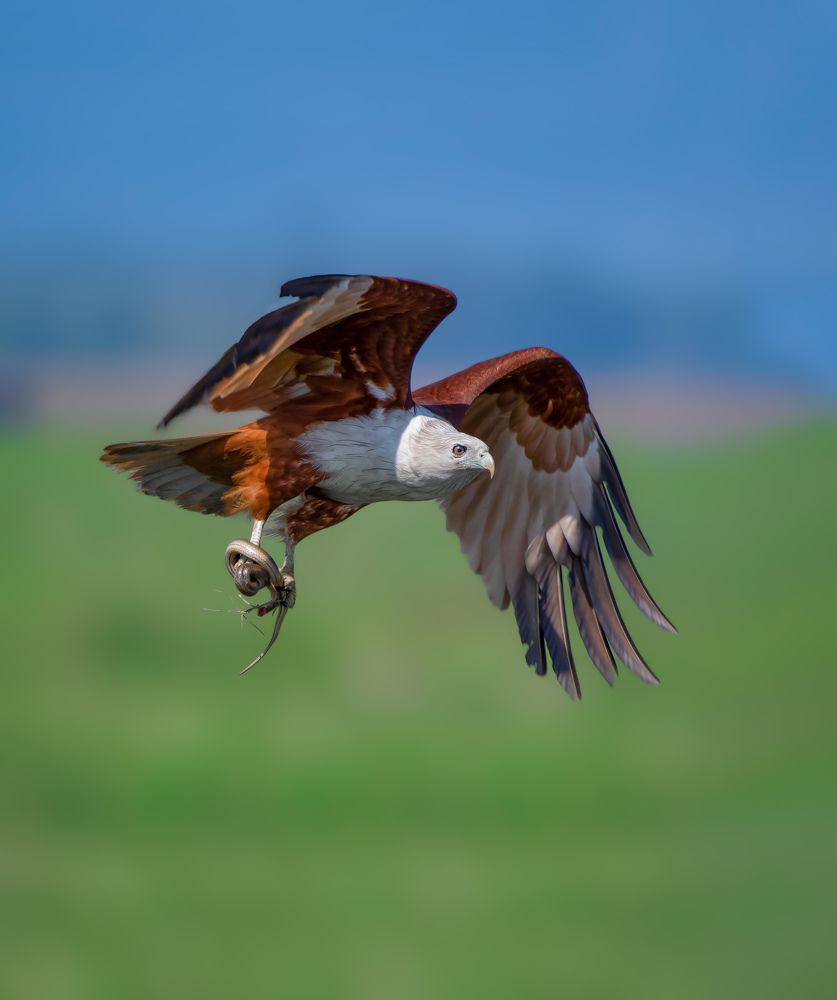 Photograph by Arnab Mondal