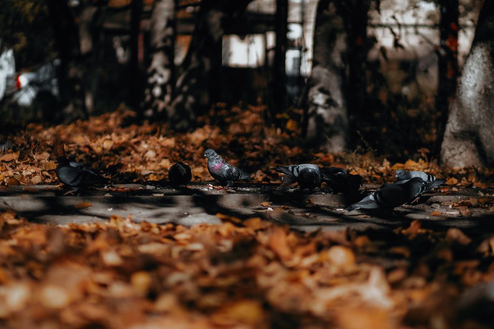 Photograph by Сергей Удовиченко