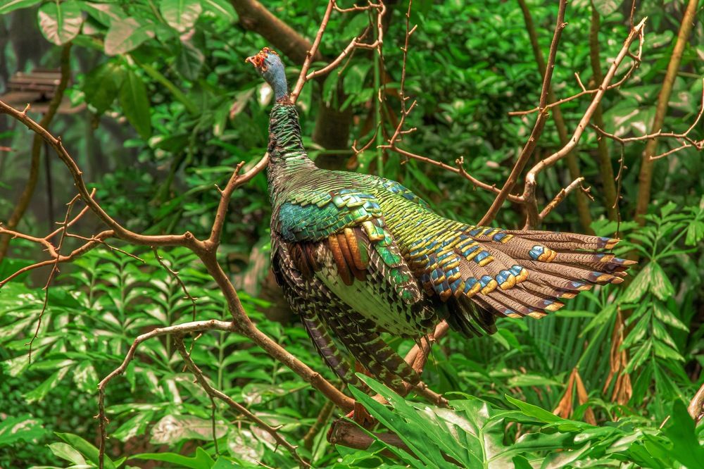 Фотография автора eric fonseca