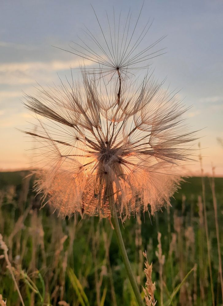 Photograph by Остапчук Ольга