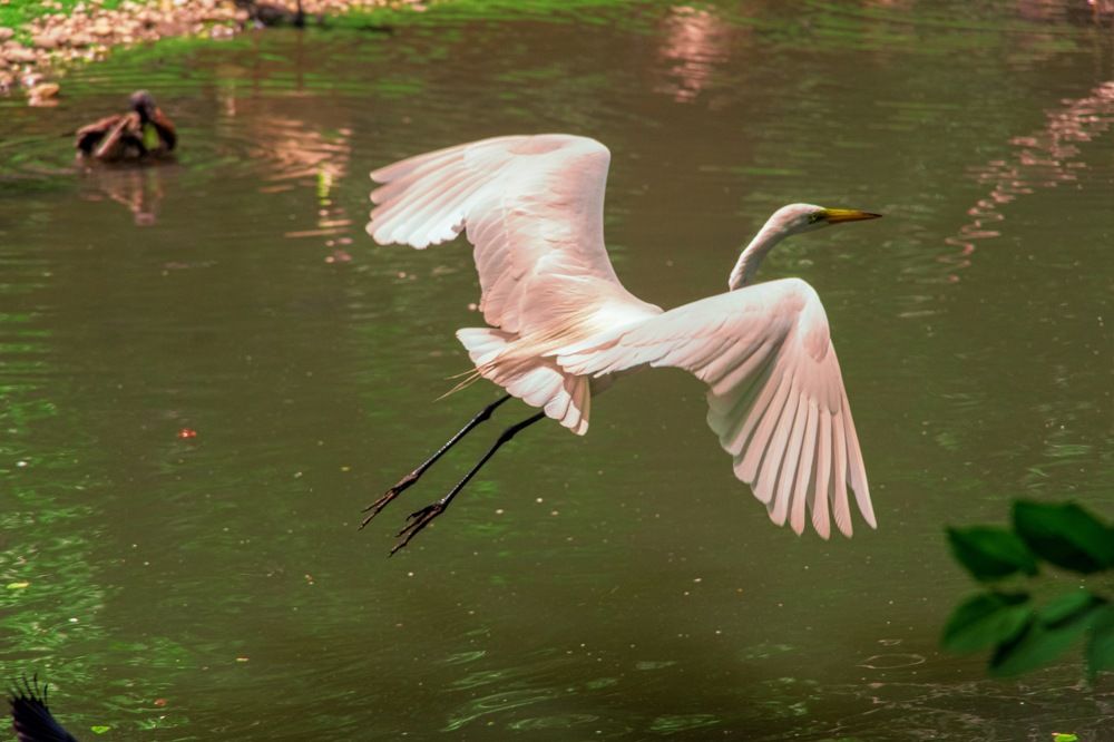 Фотография автора eric fonseca