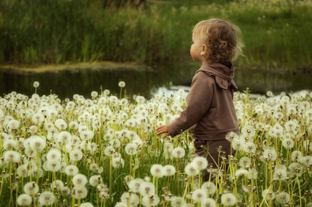 Малыш в одуванчиках
