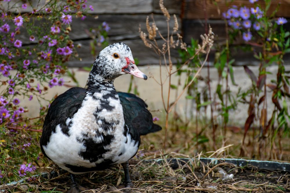 Photograph by Кристина Родина