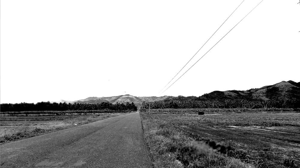 Фотография автора Pauline Jade Bolanio