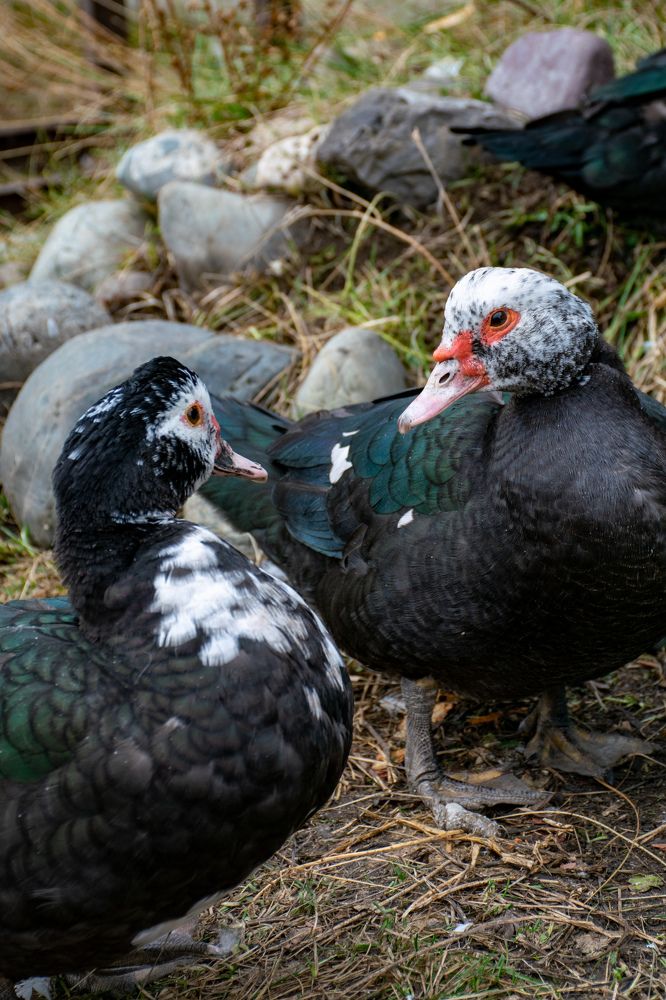 Photograph by Кристина Родина