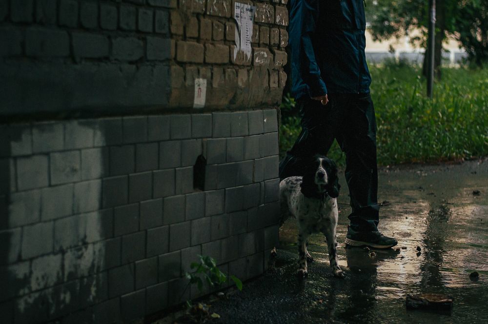 Photograph by Татьяна Зубехина