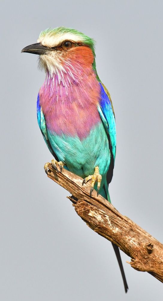 Photograph by Michelle Storm