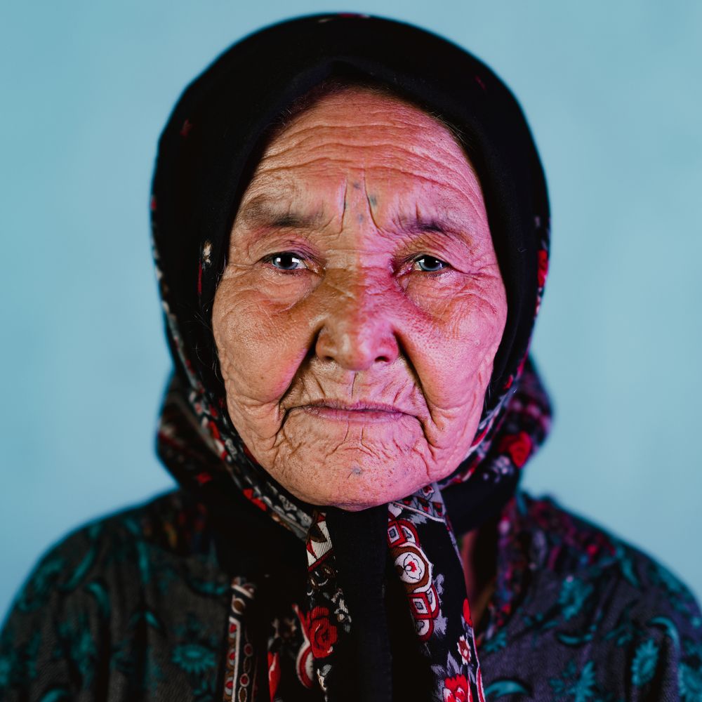 migratory Swallow of Afganistan