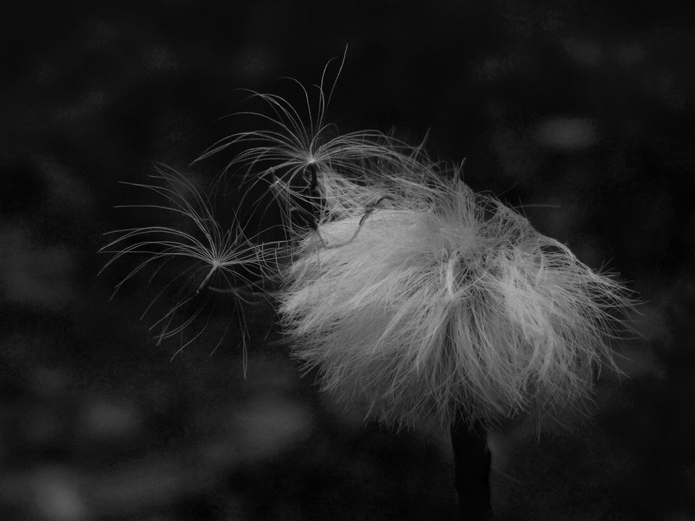 Унесённые ветром...