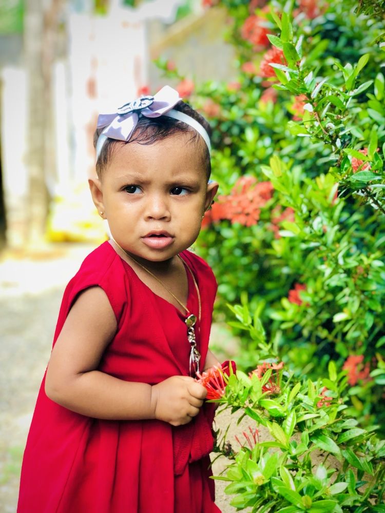 Photograph by Ahamed Nasfik