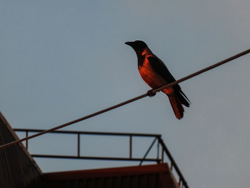 Photograph by Сергей Удовиченко