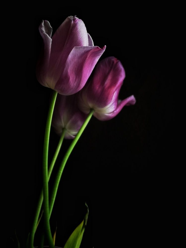 Photograph by Марина