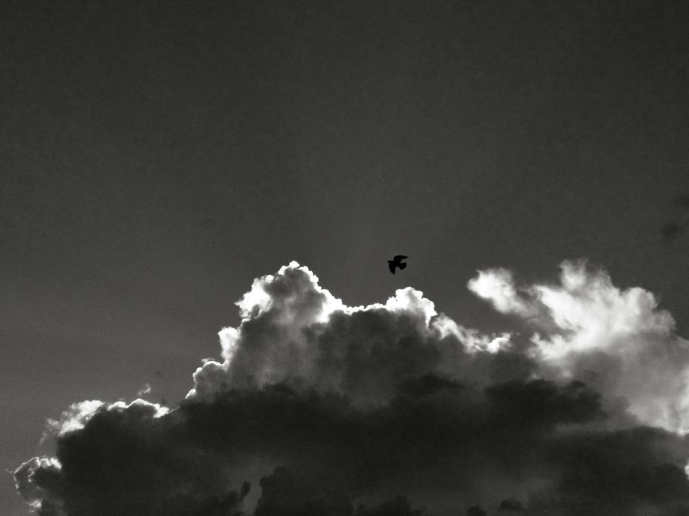 Фотография автора Mennataullah dakhly