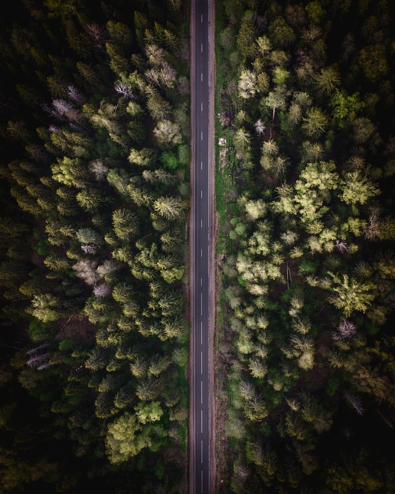 Photograph by Максим Савватеев