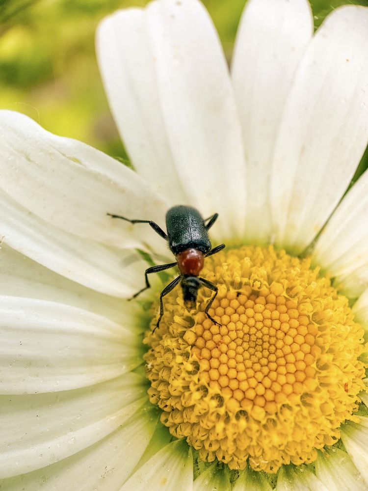 Photograph by Яна Полякова