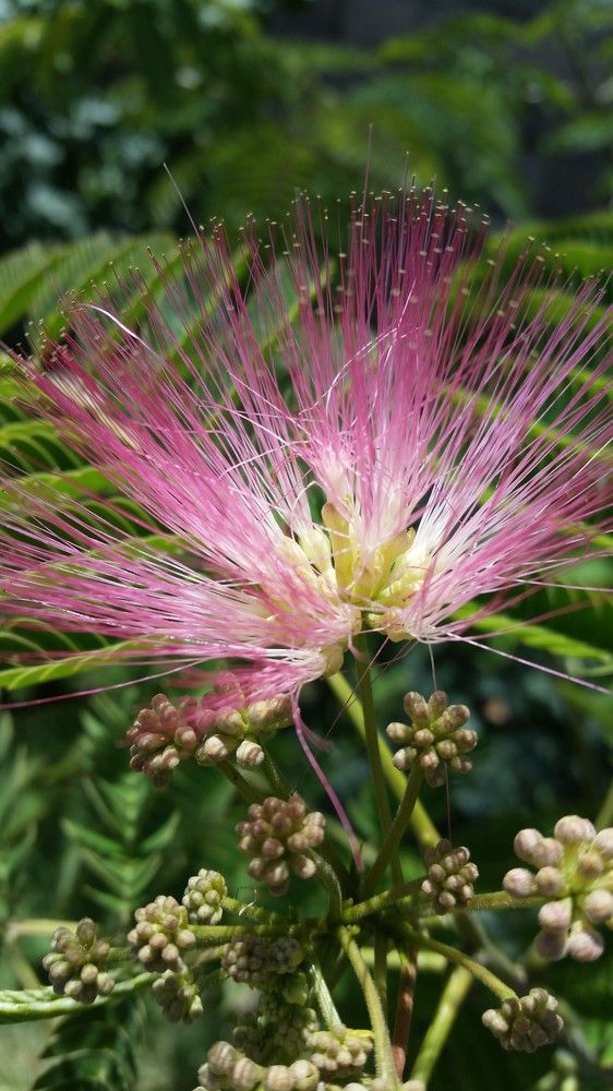 Photograph by Tigran