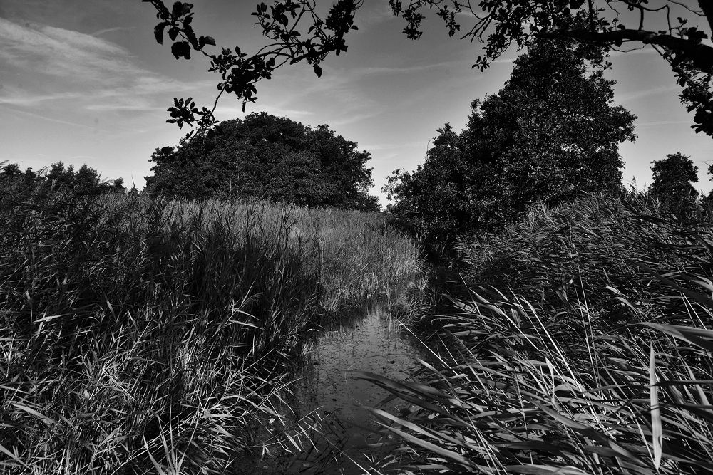 Photograph by ARNAB GHOSAL