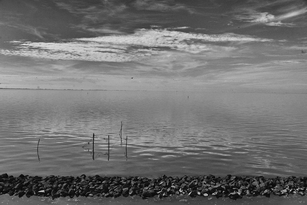 Photograph by ARNAB GHOSAL