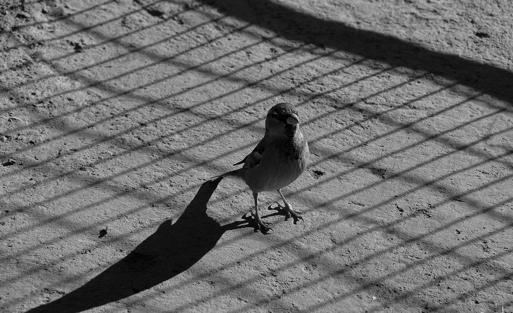 Photograph by Hayk Badalyan