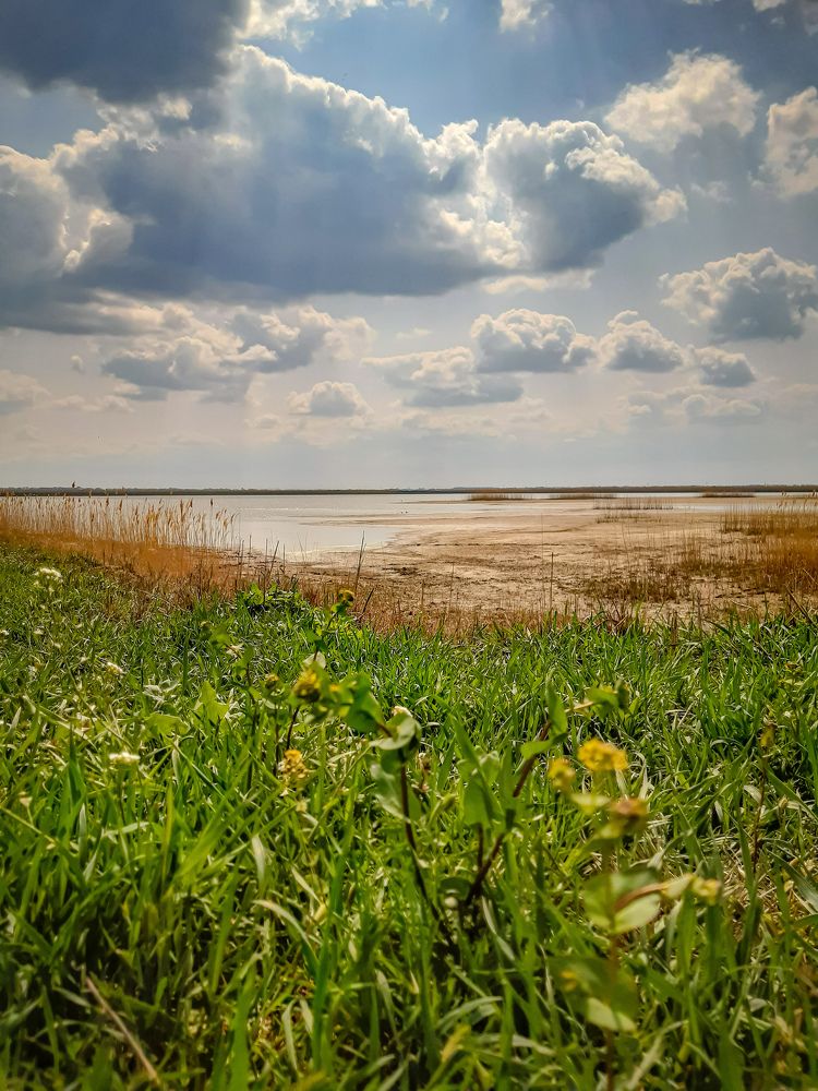 Photograph by Марина Шаповаленко