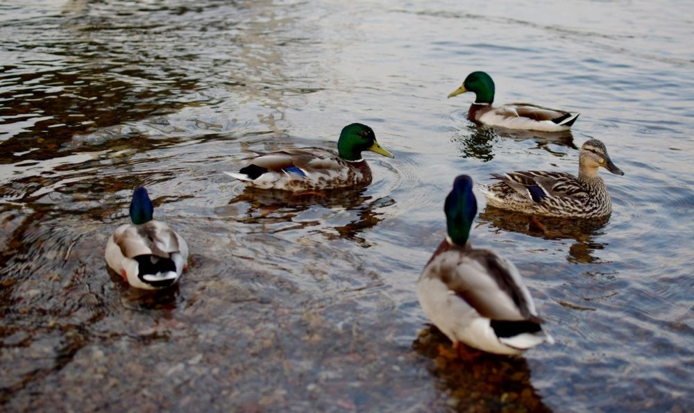 Photograph by Анна Киселева