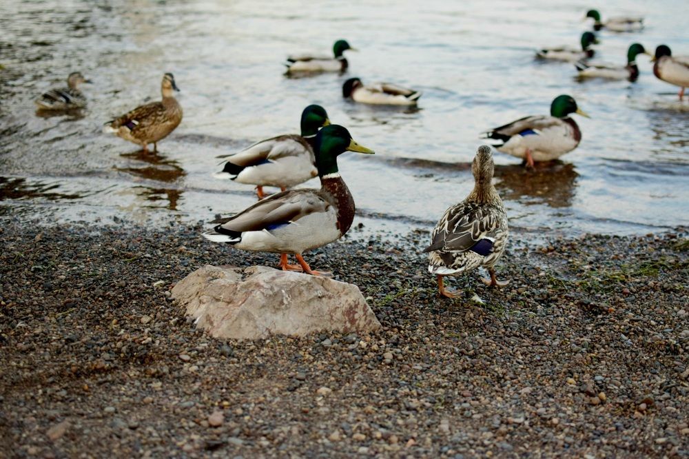 Photograph by Анна Киселева