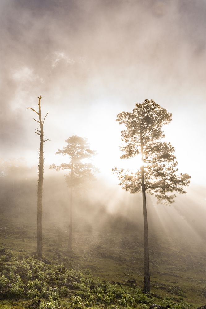 Photograph by Alfredo Jiménez Velázquez