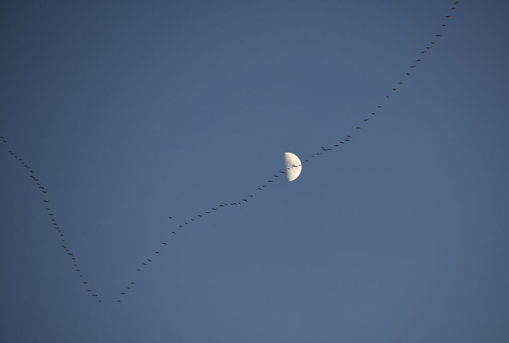 Photograph by Morring David