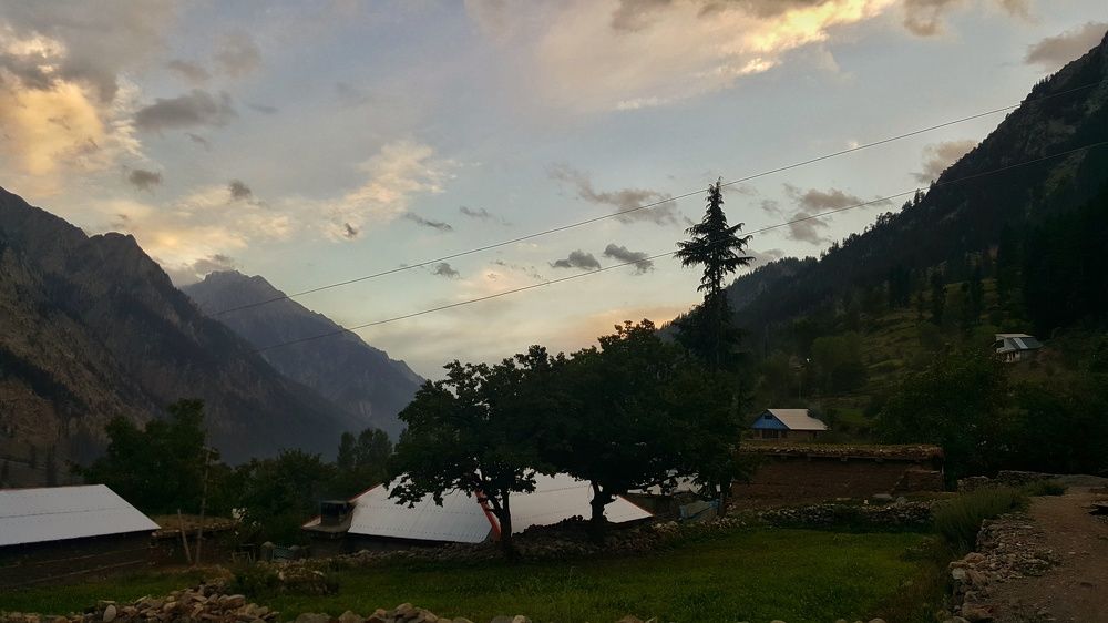 Photo #7712262