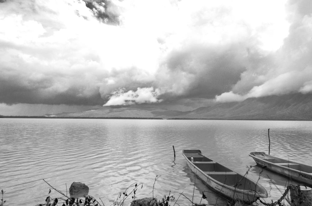 Photograph by Lenny Aguilera