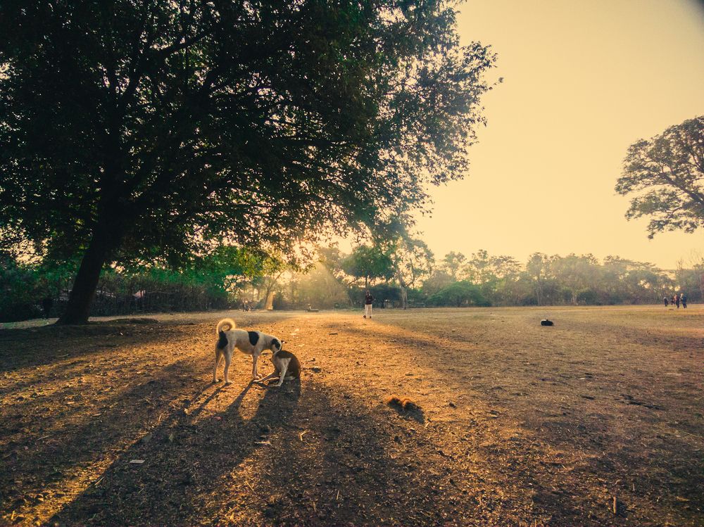 Photograph by Ananya Joshi