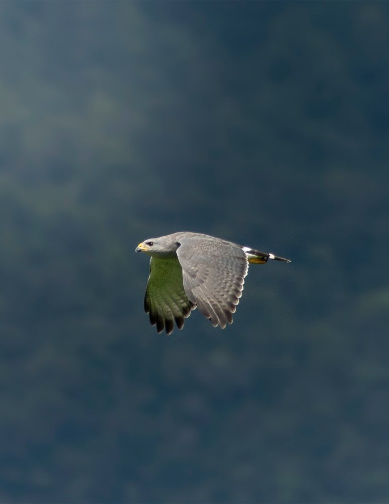 Photograph by Alfredo Jiménez Velázquez