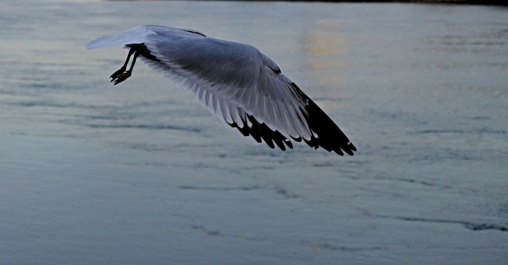 Photograph by Norayr Khazhakyan