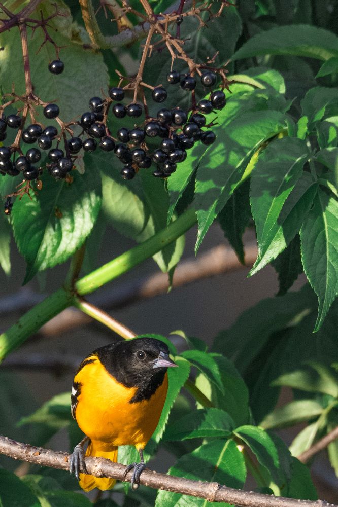 Photograph by Alfredo Jiménez Velázquez