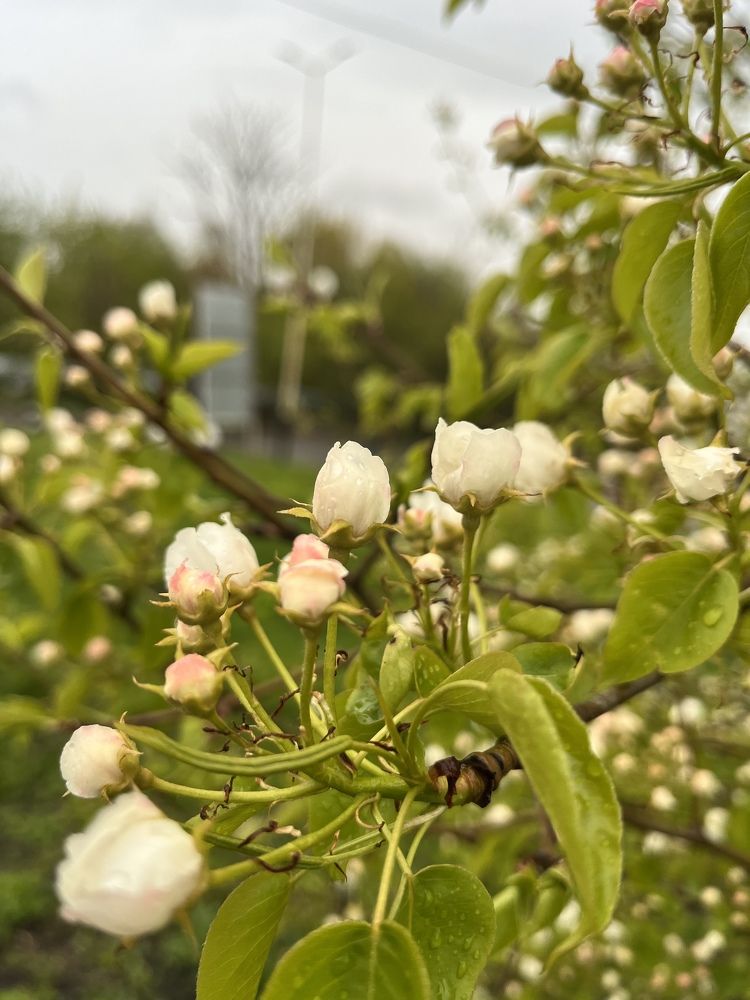 Photograph by Денис Смородин