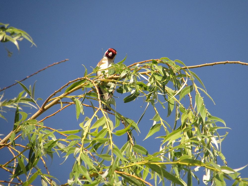 Photograph by Елена Кузнецова