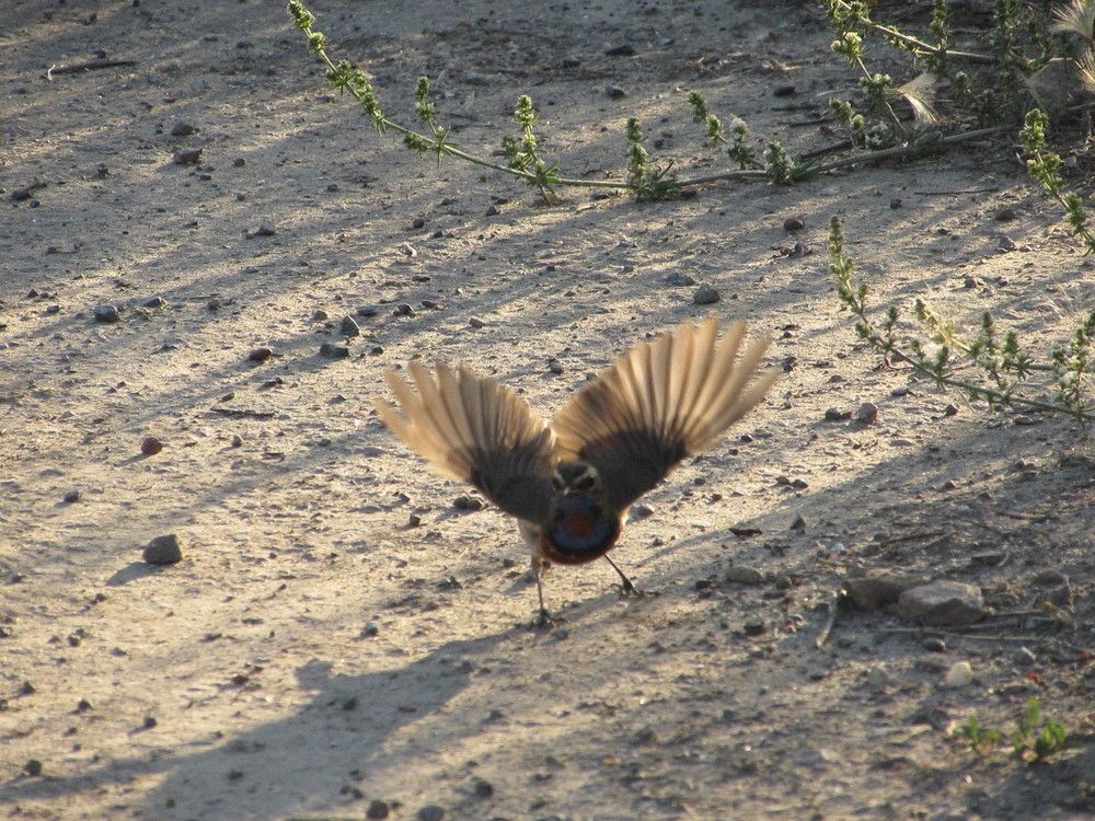 Photograph by Елена Кузнецова