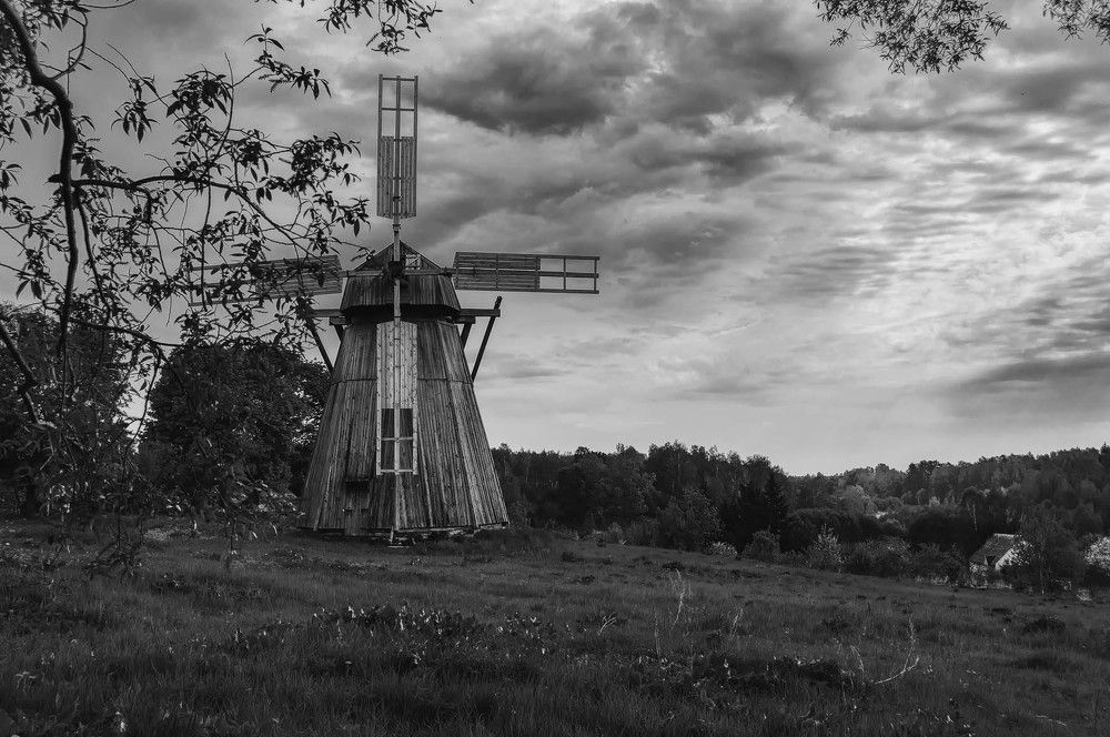 Фотография автора Oleg Podlesnykh