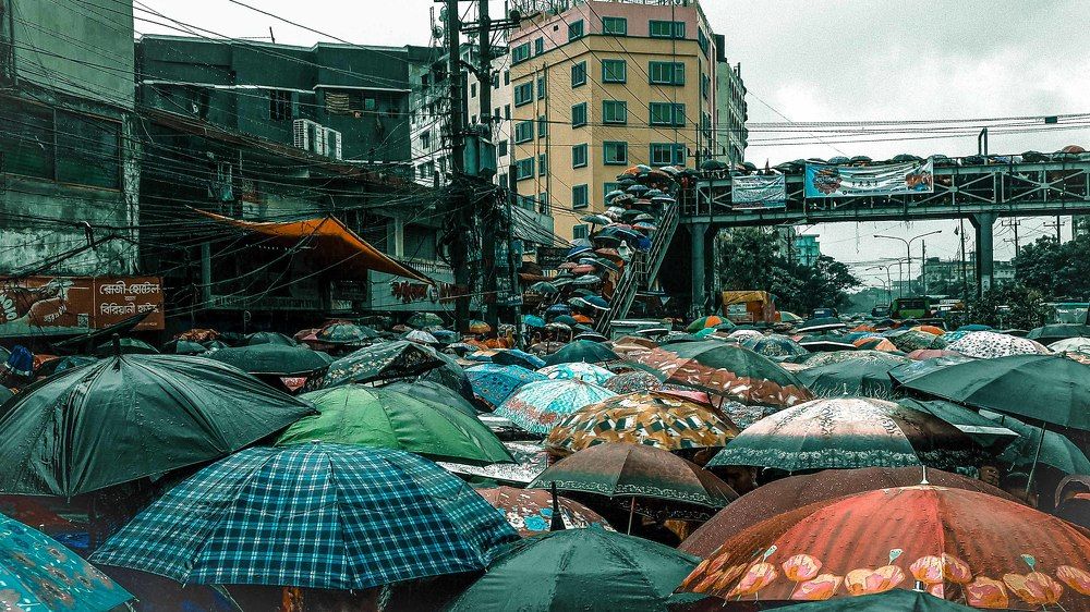 Photograph by Shahriyer Rashid Shuvo