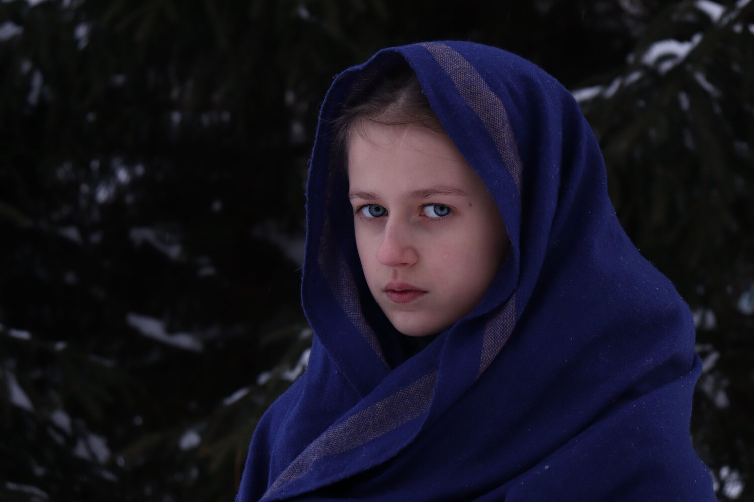 Photo #7712508