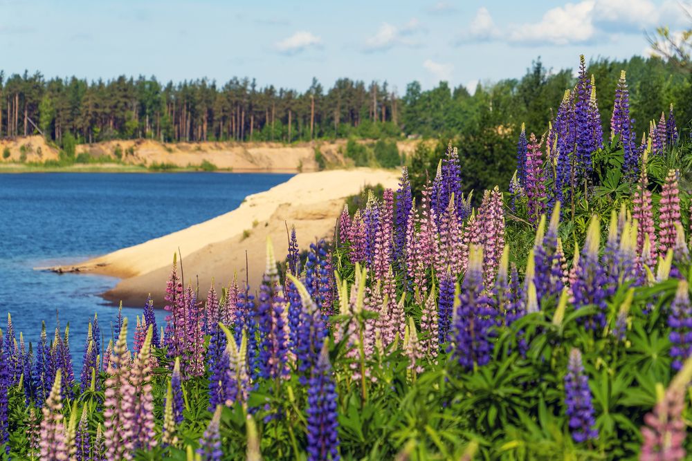 Photograph by Алексей Маринченко