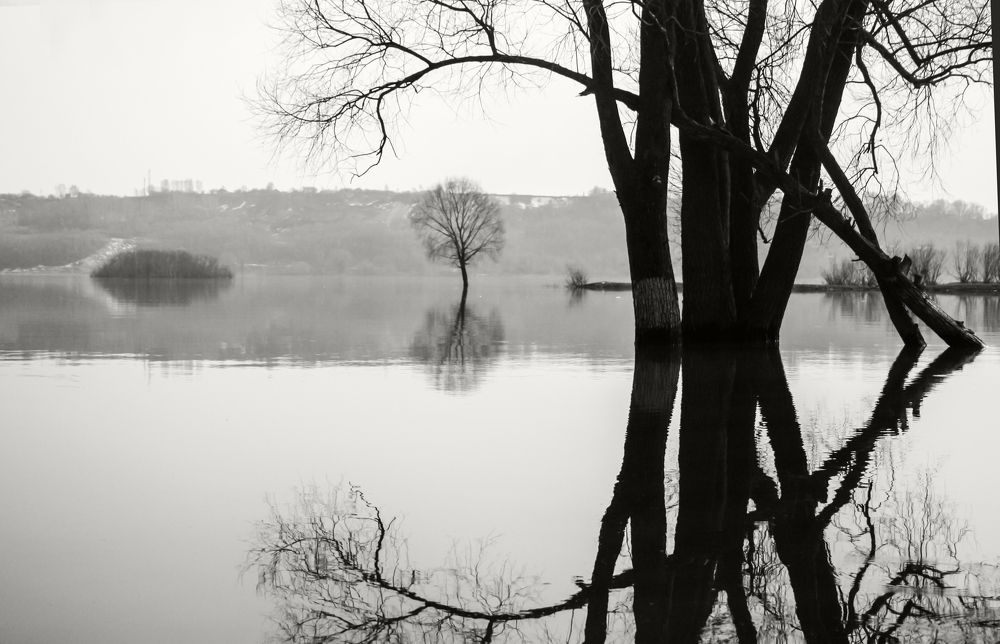 Photograph by Ирина Архипова