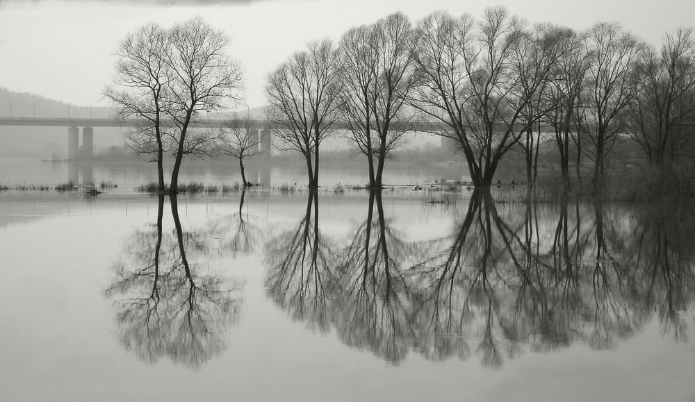 Photograph by Ирина Архипова