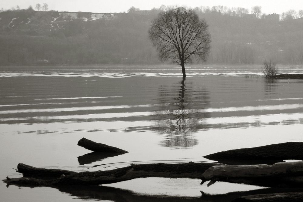 Photograph by Ирина Архипова